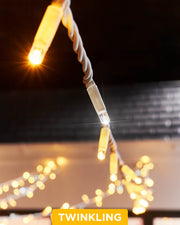 Close-up of connectable twinkle string lights with warm white and white LEDs, showcasing the twinkle effect. The image is taken during the evening with a blurred background.