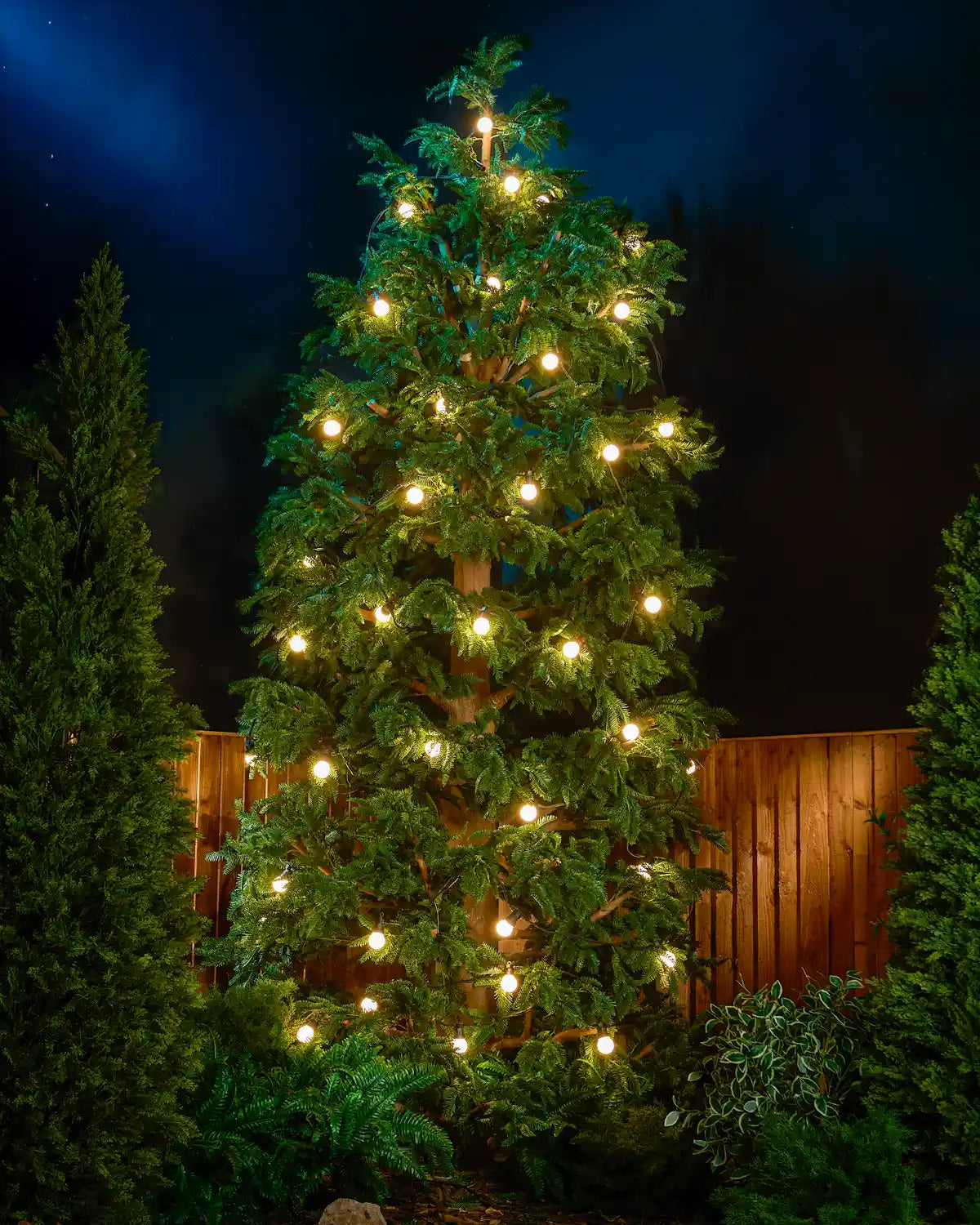 Pro Series Connectable Festoon Lights