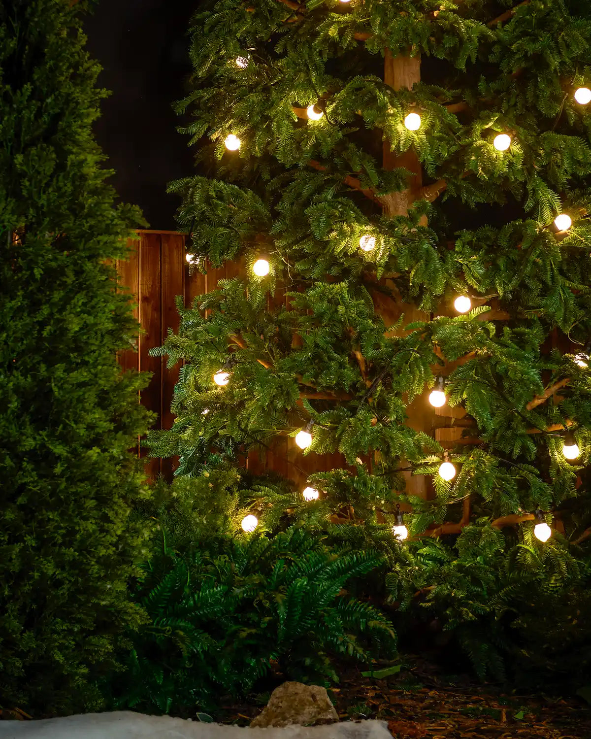 Pro Series Connectable Festoon Lights, Warm White