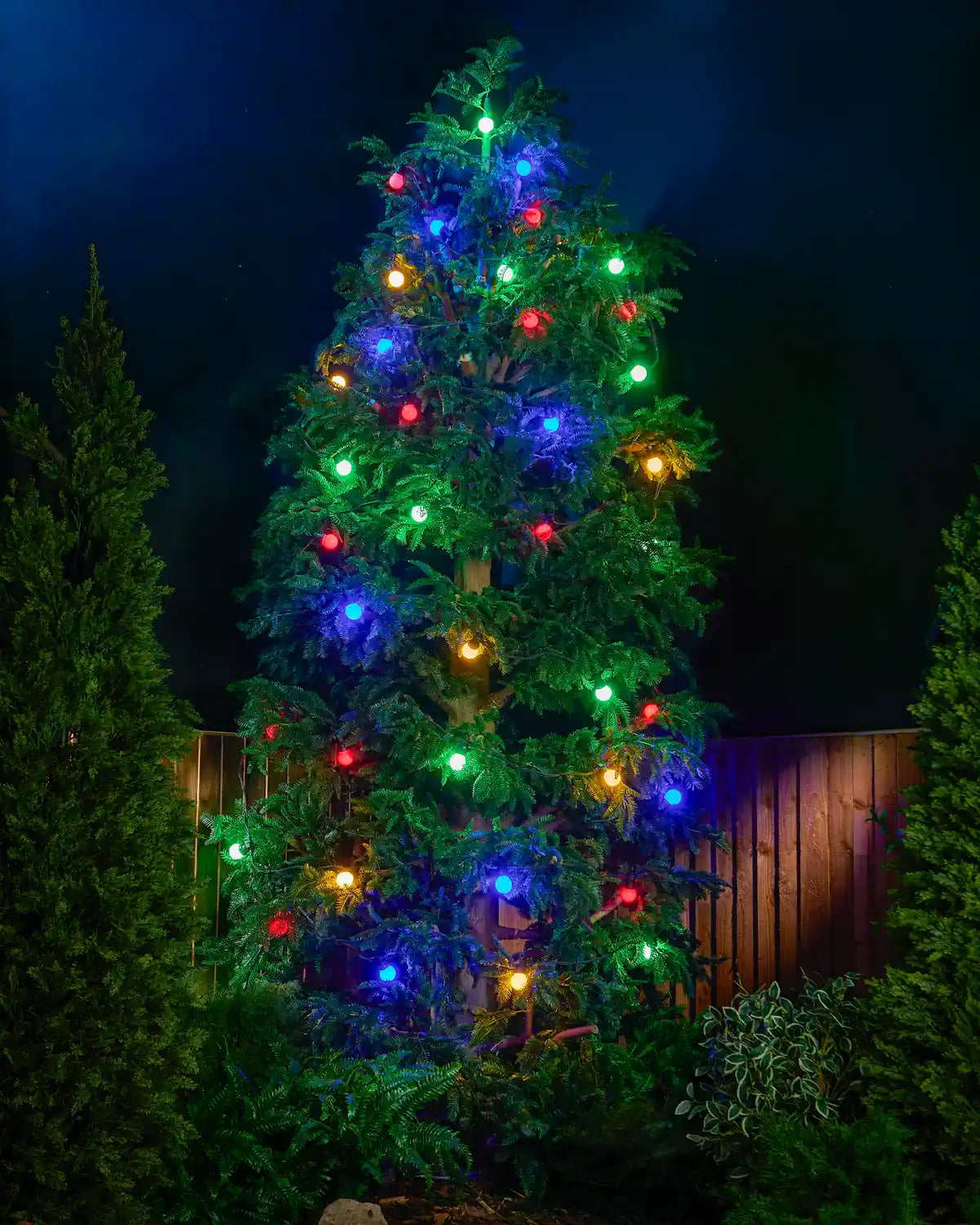 Festoon Lights - Connectable Series