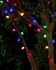 Home Series Connectable C7 Vintage Light String, Multi Colour