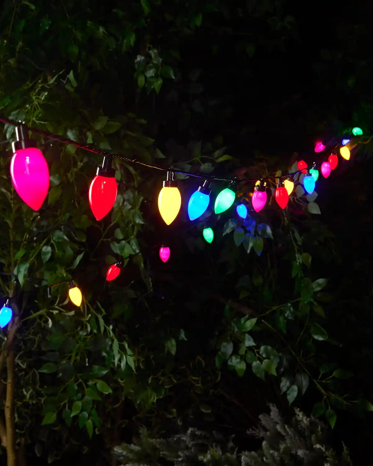 Home Series Connectable C7 Vintage Light String, Multi Colour