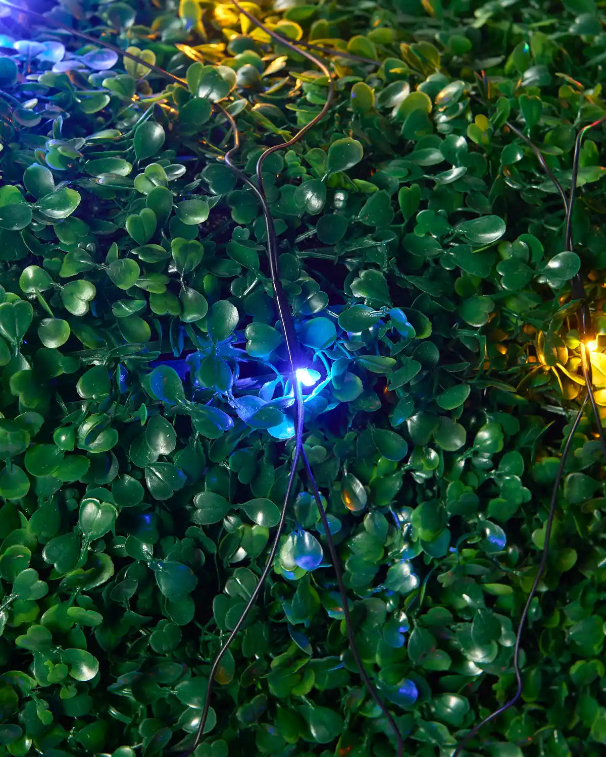 Home Series Connectable Black Net Lights, 3 m x 3 m, Multi Colour