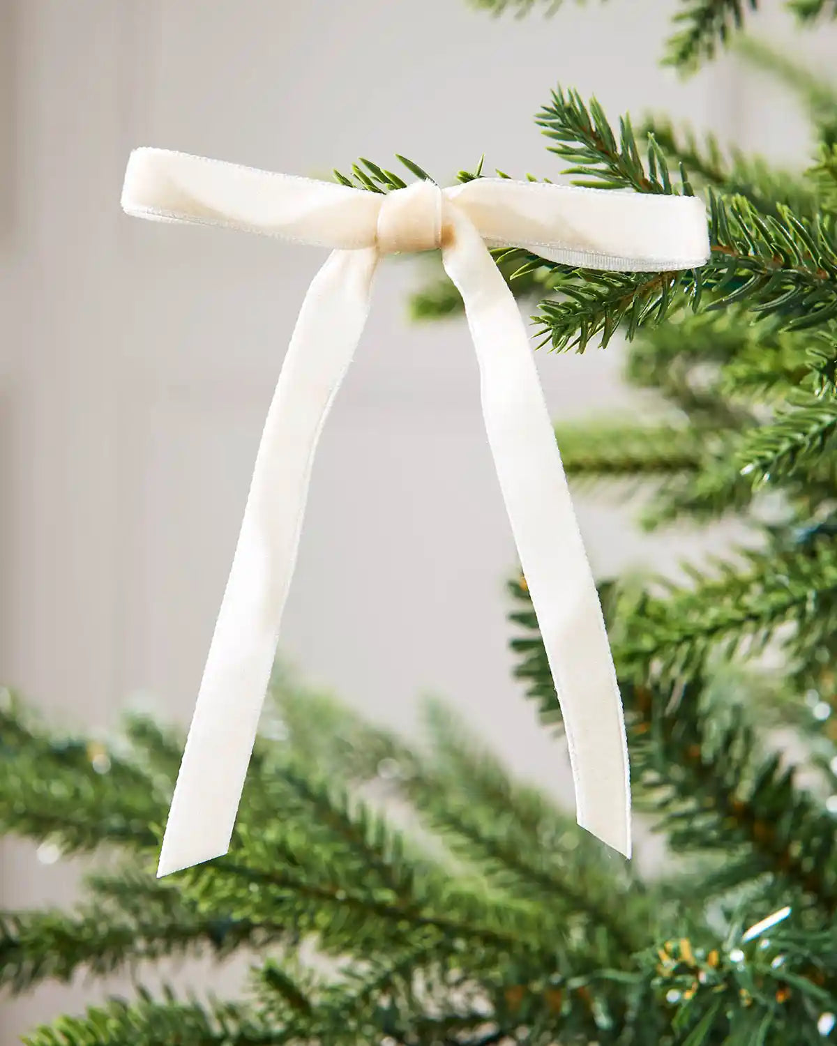 Single latte velvet bow on the edge of a Christmas tree branch, in front of a white background