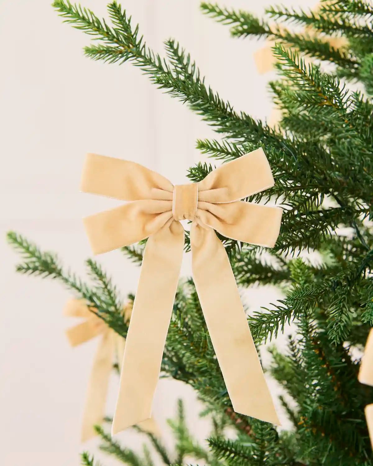 Latte velvet double bow displayed among matching bows on a Christmas tree.
