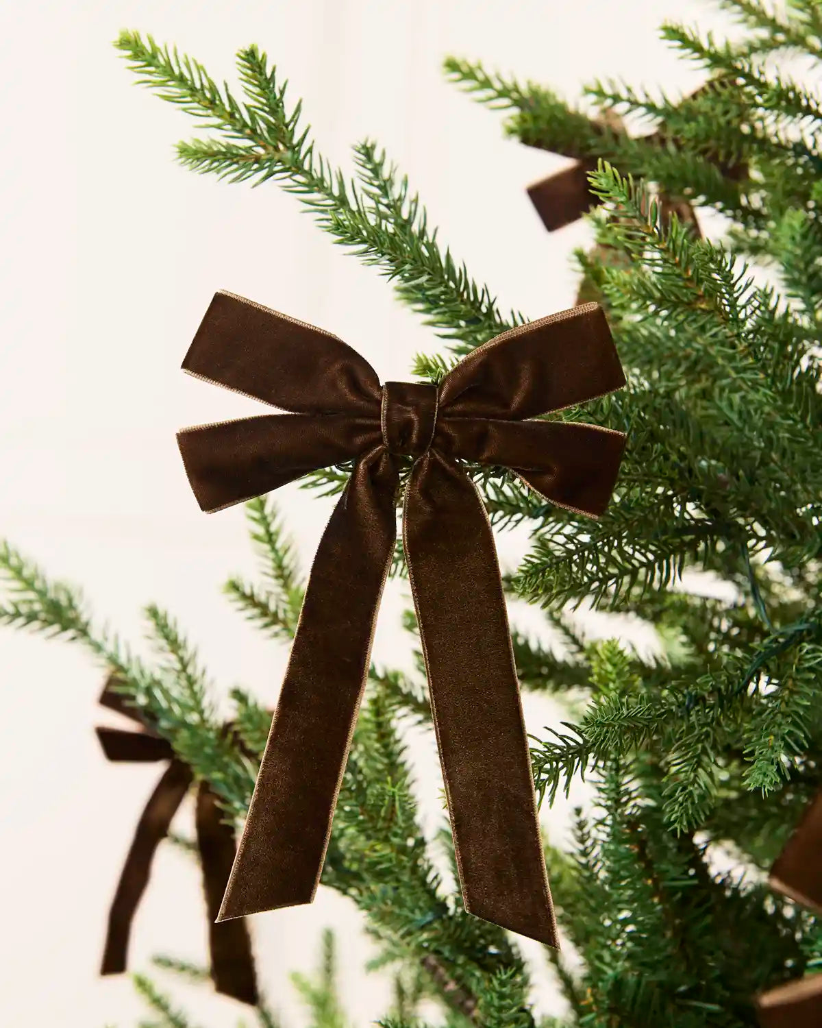 Mocha velvet Double Bow placed on a Christmas tree branch tip with more mocha velvet double bows blurred in the background