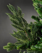 Close-up of sprig of natural pine Christmas tree pick attached to tree in front of grey wall background