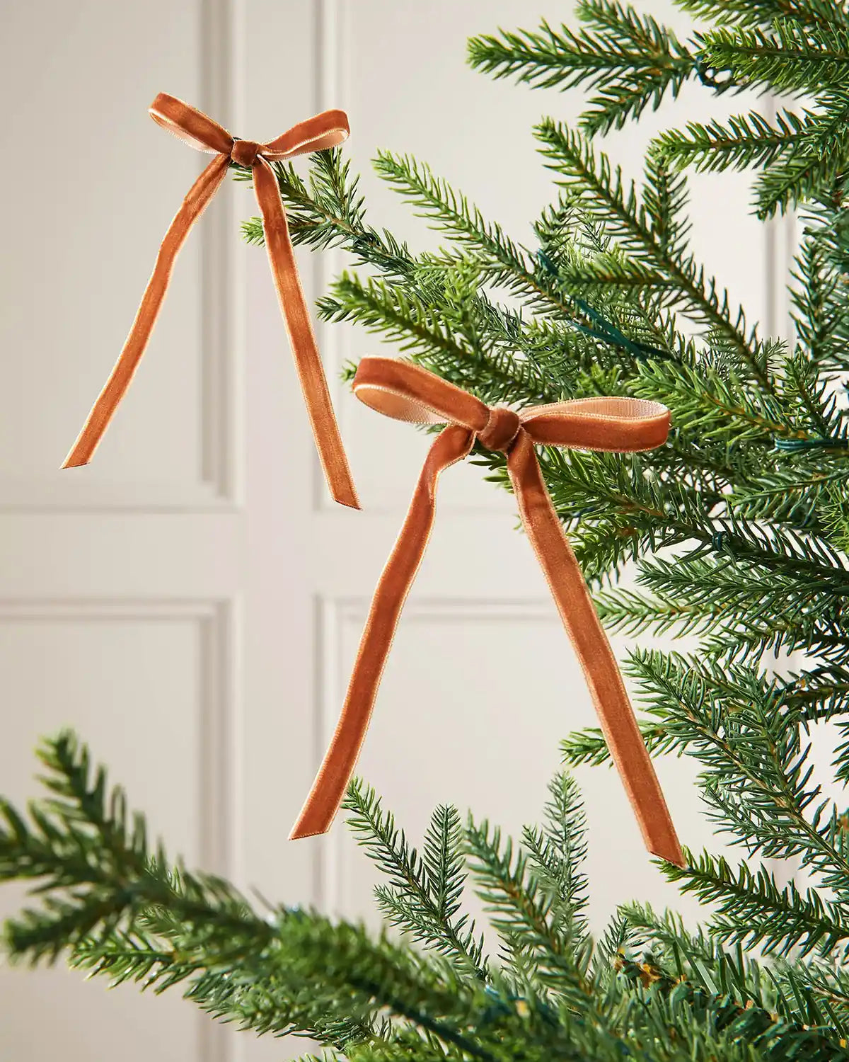 A pair of espresso velvet bows on the edge of Christmas tree branches in front of a white background