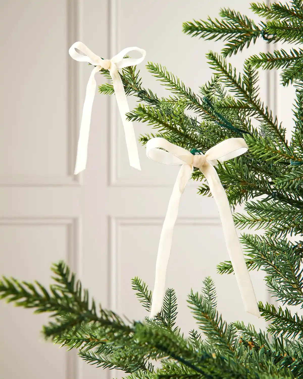 A pair of latte velvet bows on the edge of Christmas tree branches in front of a white background