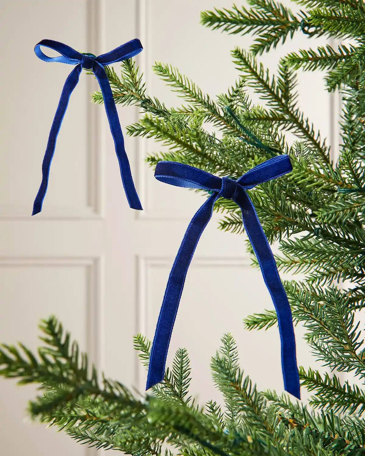 A pair of navy blue velvet bows on the edge of Christmas tree branches, in front of a white background