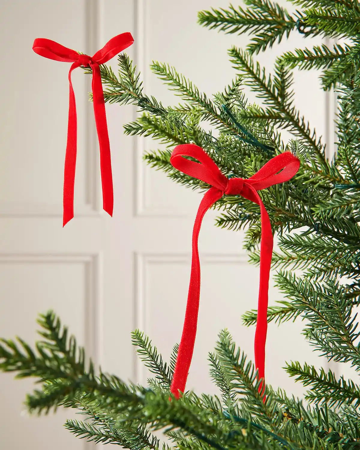 A pair of red velvet bows on the end of Christmas tree branches