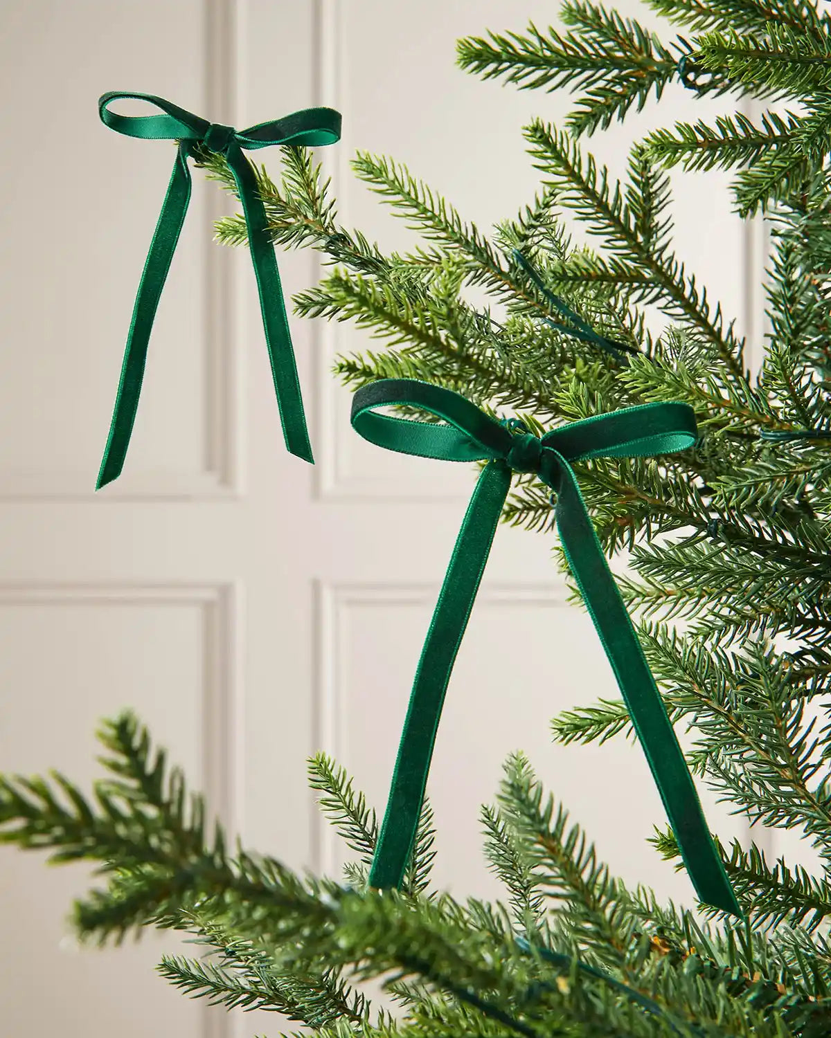 A pair of sage green velvet bows on the edge of Christmas tree branches, in front of a white background