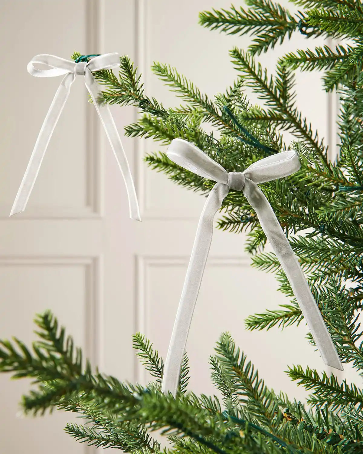 A pair of silver velvet bows on the edge of Christmas tree branches in front of a white background
