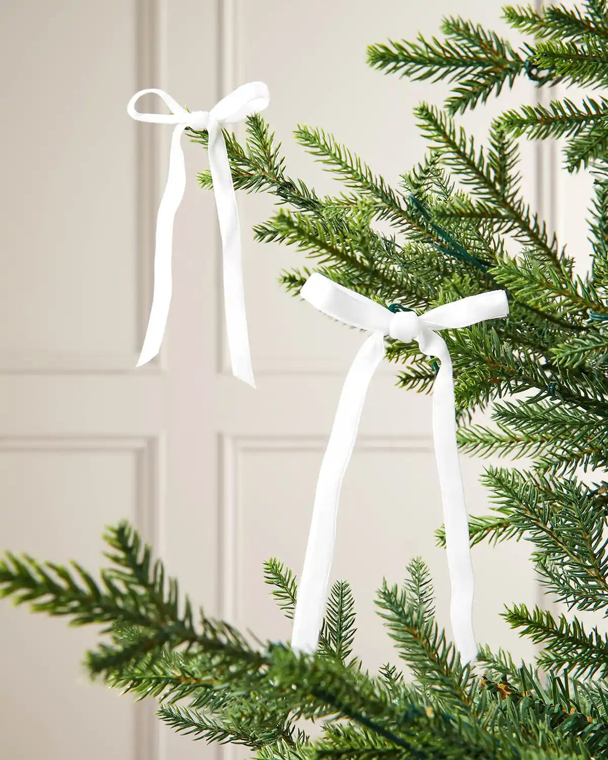 A pair of white velvet bows on the edge of Christmas tree branches in front of a white background