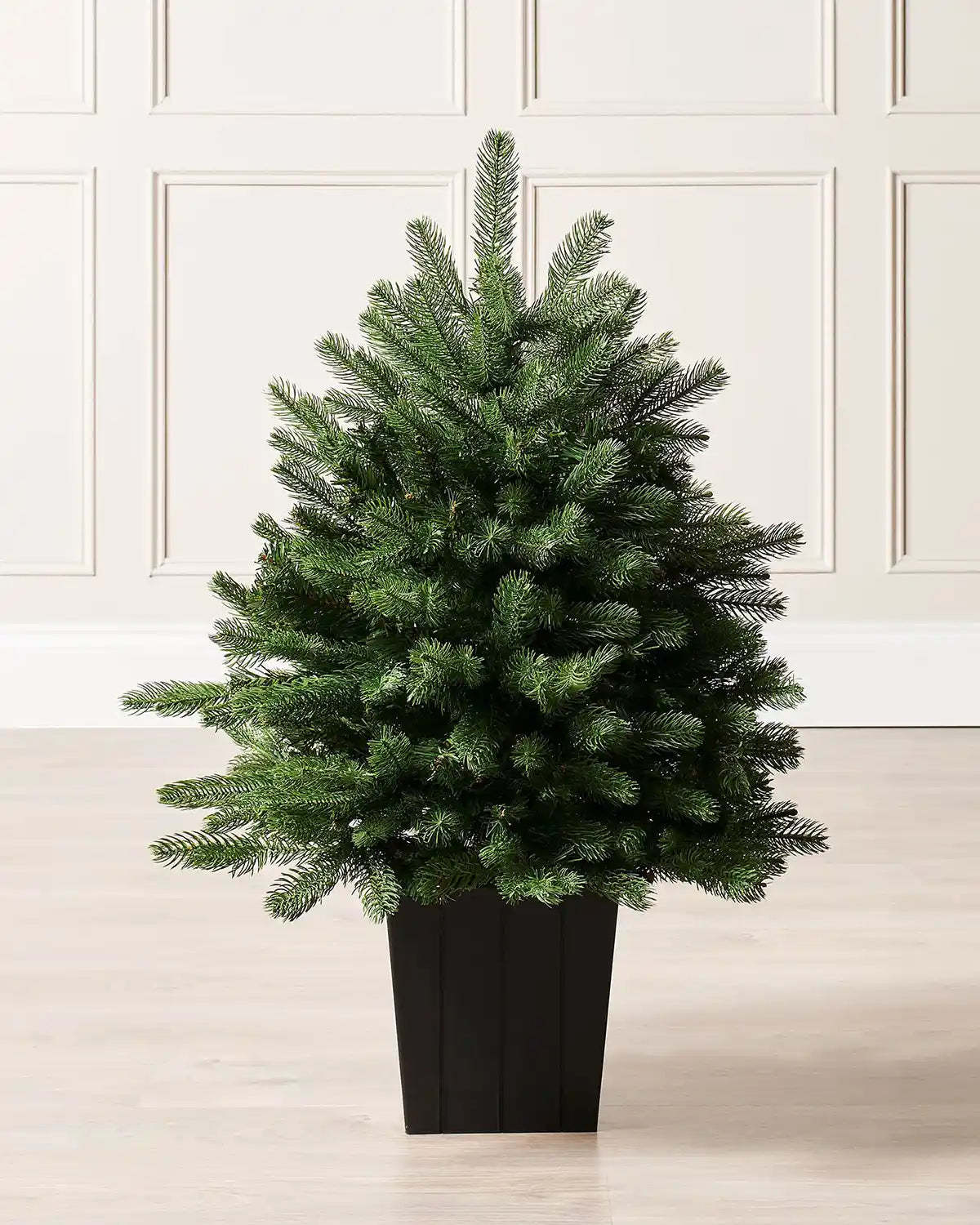 Potted Christmas tree on a light wooden floor with a white panelled wall background