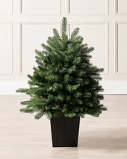 Potted Christmas tree on a light wooden floor with a white panelled wall background