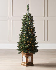 Pre-lit 46 cm (18 inch) potted Craford Pine Christmas tree with 150 lush PVC tips and 80 warm white LED lights—compact, elegant, and glowing with festive warmth, perfect for mantles, tabletops, or cosy indoor corners.