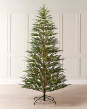 A pre-lit Cypress Fir Christmas tree with green branches and white lights, displayed against a neutral background.