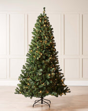 "6-foot pre-lit Emerald Spruce artificial Christmas tree with 556 PVC tips and 200 warm white LED lights, featuring 8 lighting functions, displayed indoors against a plain wall.