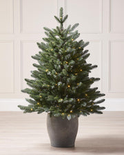 3.5 ft pre-lit frosted artificial Christmas tree in a rustic pot, featuring 115 warm white micro LED lights and a full, lifelike appearance.