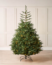 Pre-lit Grand Nordmann Fir Christmas tree with dense PE and PVC branches, warm white LED lights, and elegant pear-shaped silhouette, shown against a neutral background.
