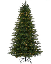 Pre-Lit Himalayan Fir Christmas Tree, 7ft with lights and a black Tree stand on a white background
