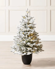 Pre-Lit Snow Flocked Potted Christmas Tree, 3 ft against a cream panel wall