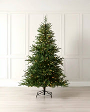 6 ft pre-lit traditional fir Christmas tree with warm white lights displayed in a room