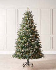 Pre-lit Blue Brockton Spruce Christmas tree with lifelike PE/PVC branches, pinecones, warm white multicolor LED lights, and a glitter finish—indoor tree with low voltage transformer for safe, energy-efficient festive brilliance.Pre-lit Blue Brockton Spruce Christmas tree with lifelike PE/PVC branches, pinecones, warm white multicolor LED lights, and a glitter finish—indoor tree with low voltage transformer for safe, energy-efficient festive brilliance.