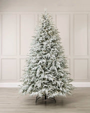 Pre-lit snow-flocked Grand Duchess Christmas tree, 6.5 feet tall, covered in snowy white flocking and warm white lights, displayed against a white paneled wall