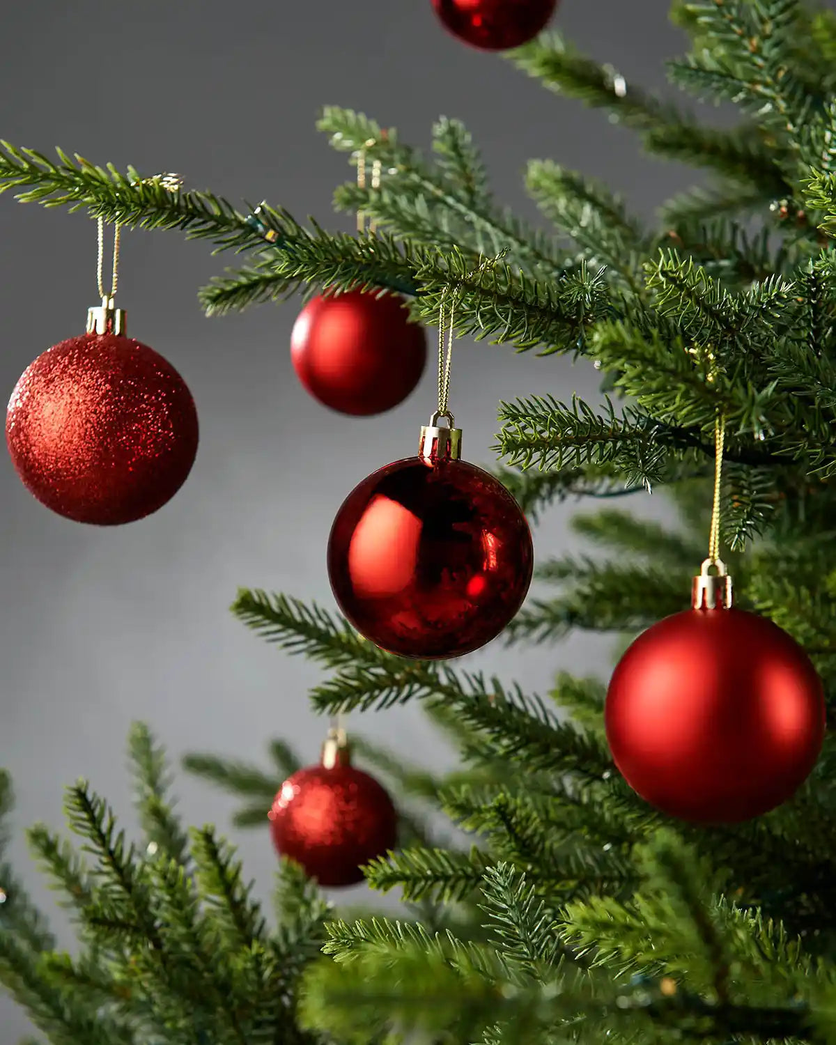 Red Christmas baubles on a green tree against a grey background
