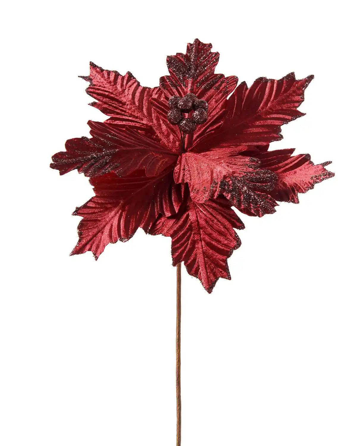 Red decorative Poinsettia on a white background