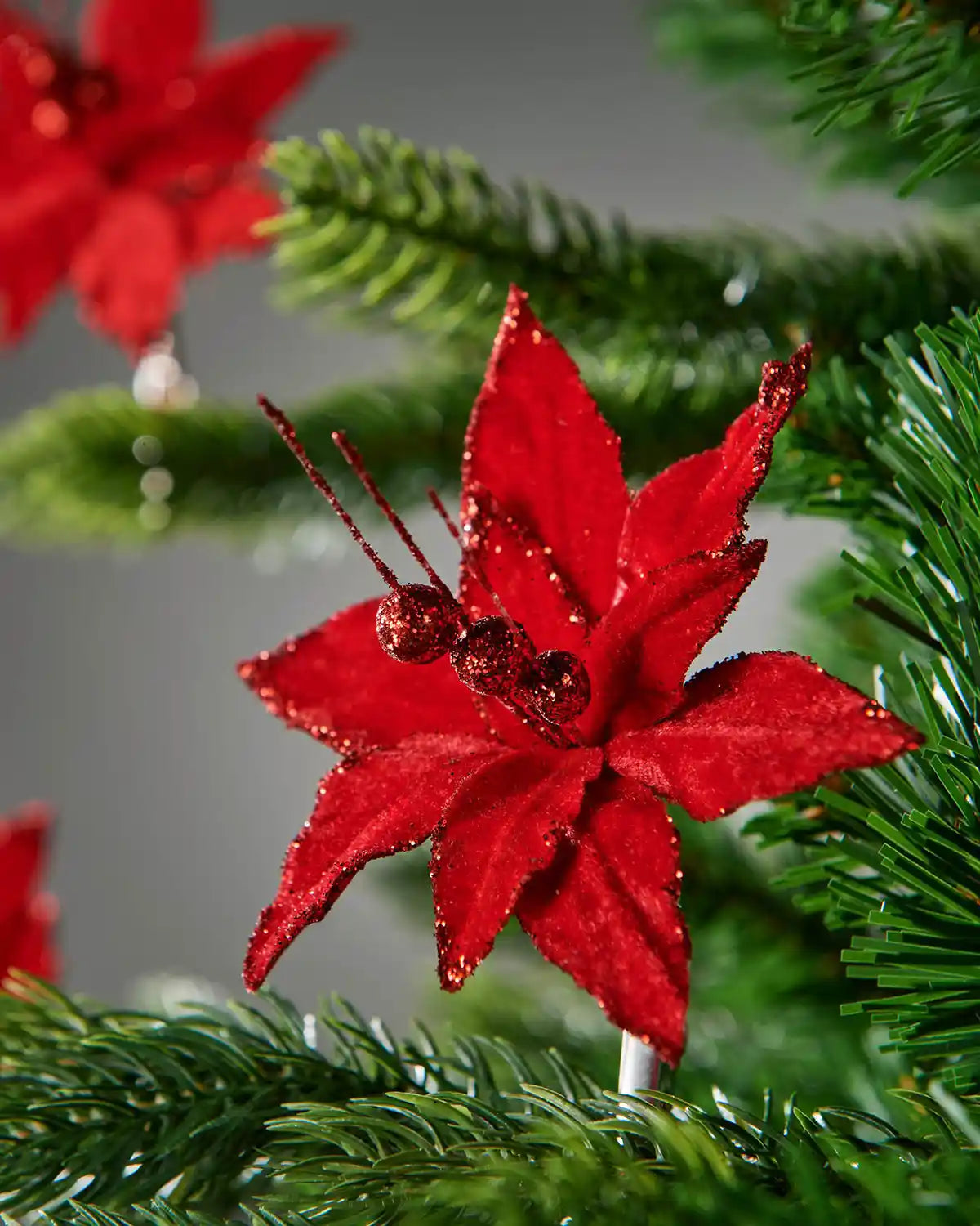 Red decorative flower on a green pine branch