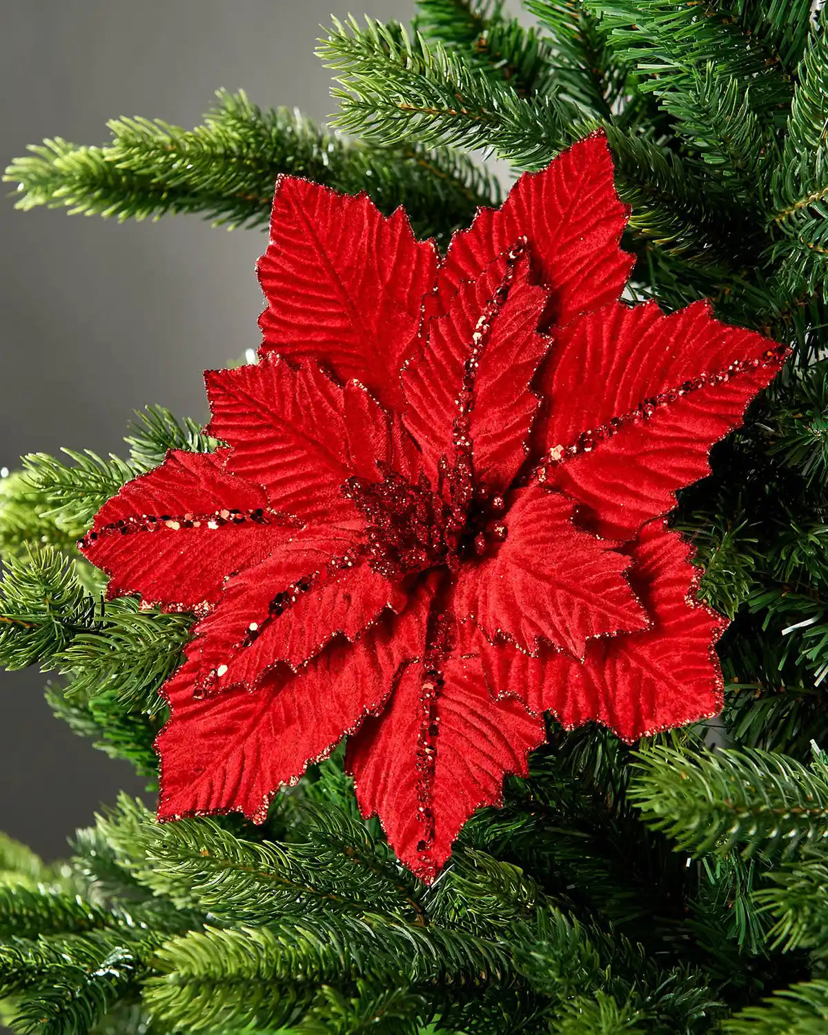 Red glitter-trim artificial poinsettia flower on Christmas tree in front of grey  wall background