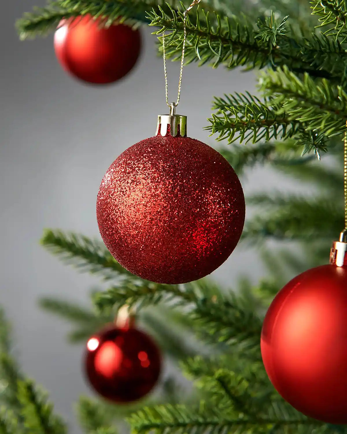 Red glittery Christmas baubles hanging on a tree branch with a grey background