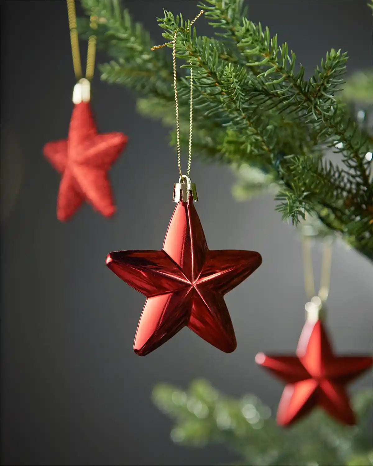 Red star-shaped Christmas ornaments hanging on a tree branch with a dark background