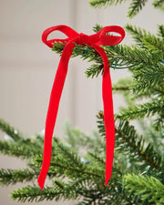 Single red velvet bow on the end of a green Christmas tree branch