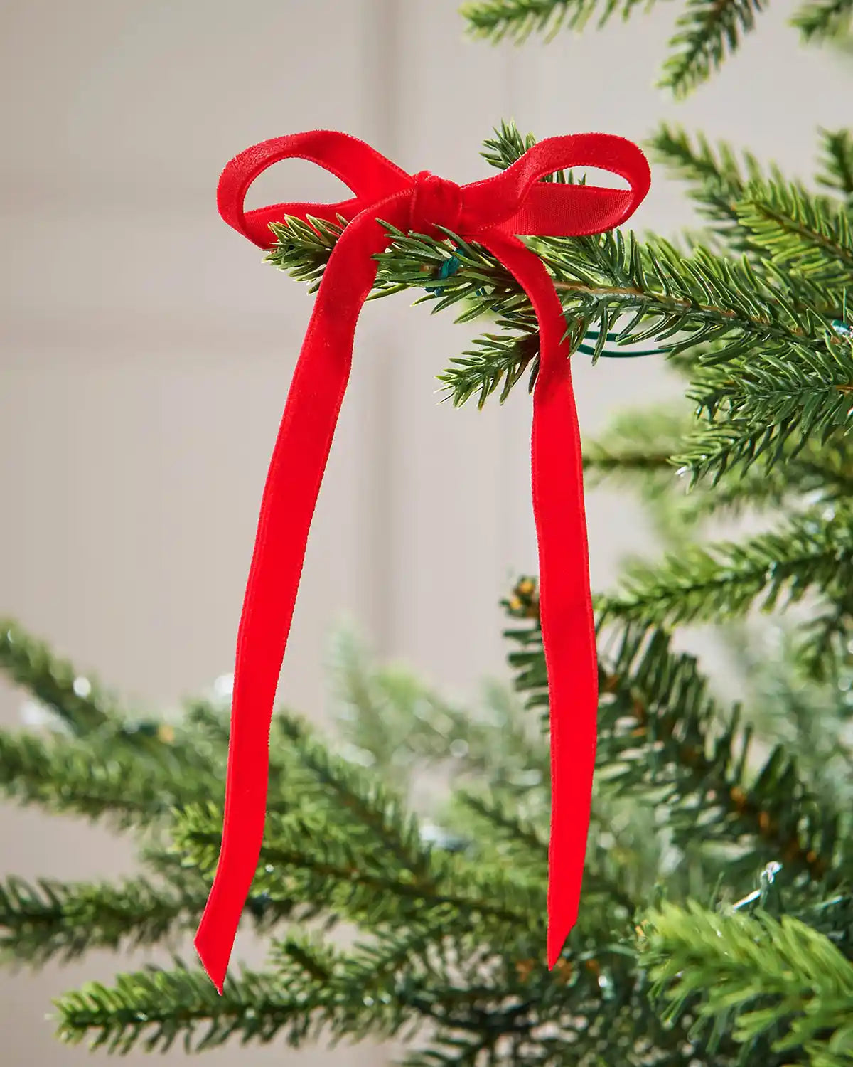 Single red velvet bow on the end of a green Christmas tree branch