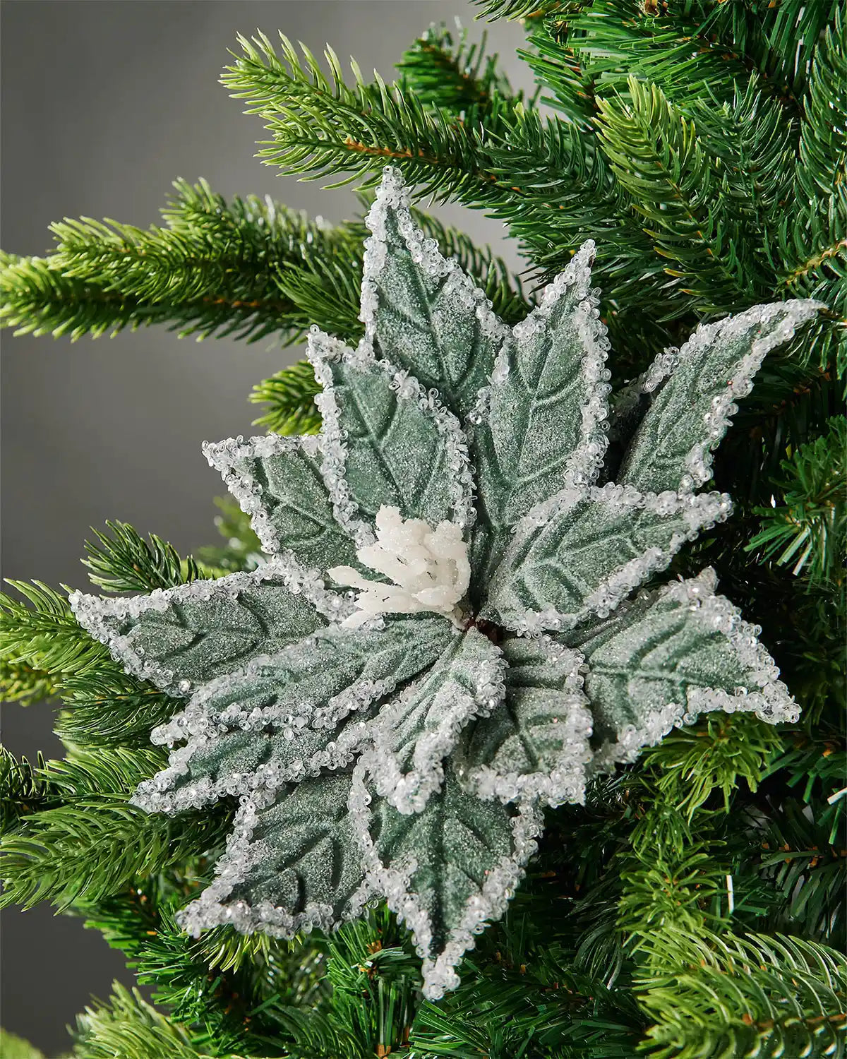Sage green frosted velvet-look poinsettia flower inside Christmas tree in front of grey wall background