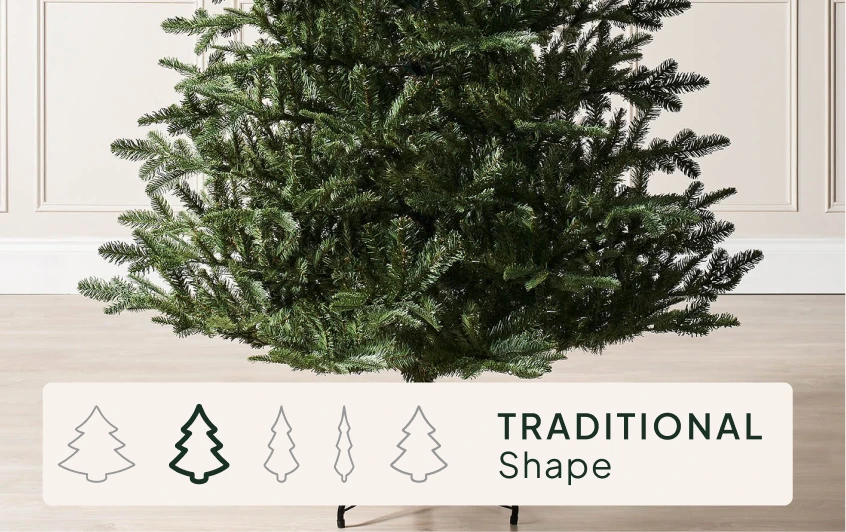 <strong>Size & Shape</strong>