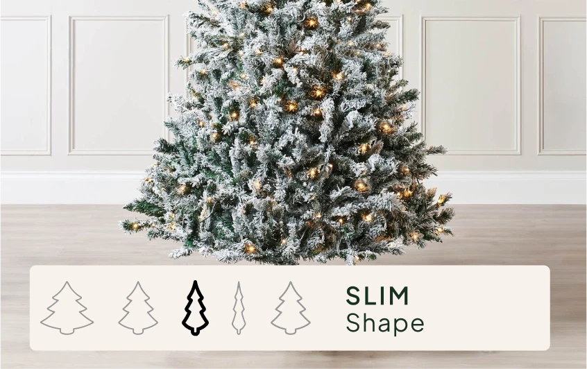 Size & Shape