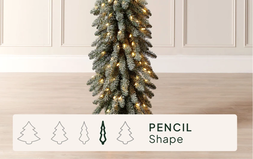<strong>Size & Shape</strong>