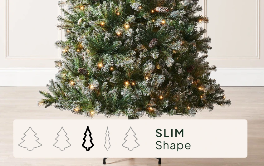 Size & Shape