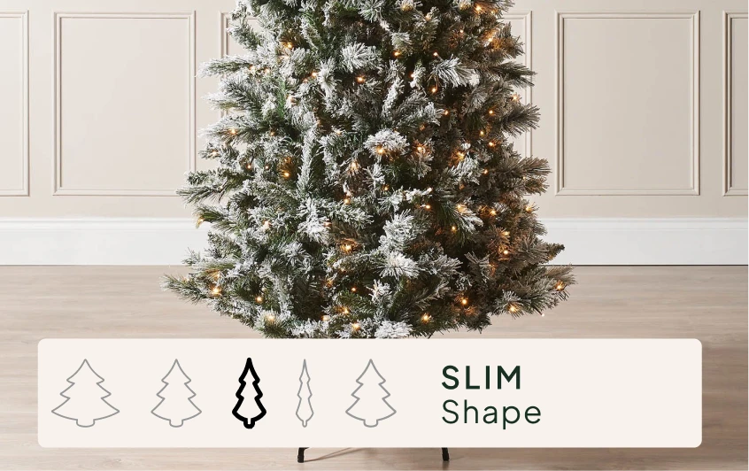 Size & Shape