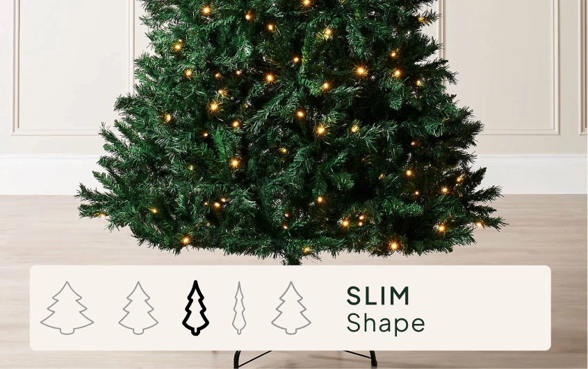 Size & Shape