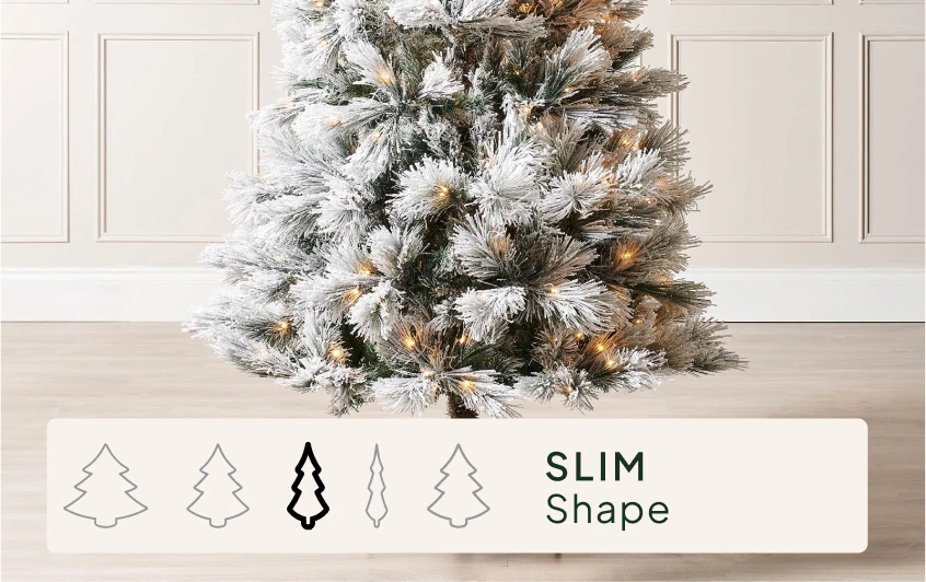 <strong>Size & Shape</strong>