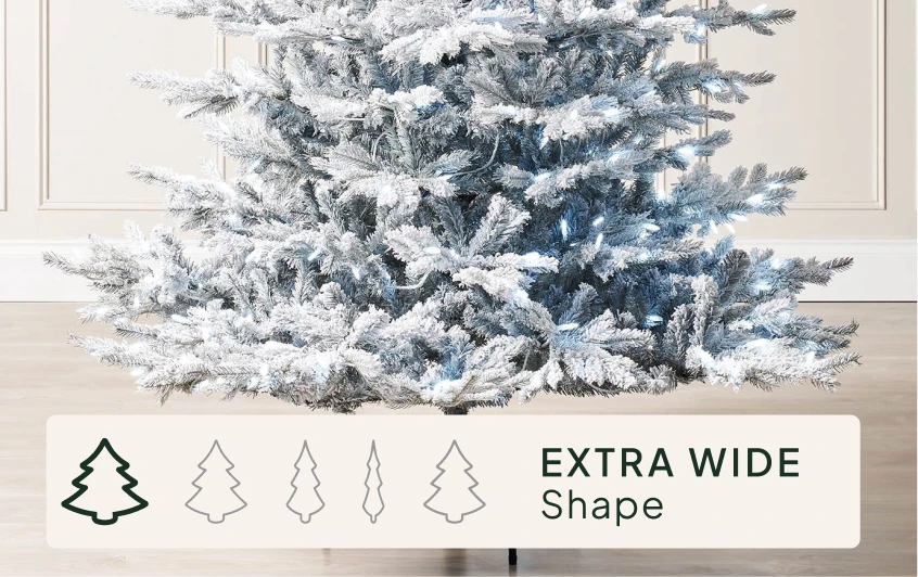 <strong>Size & Shape</strong>