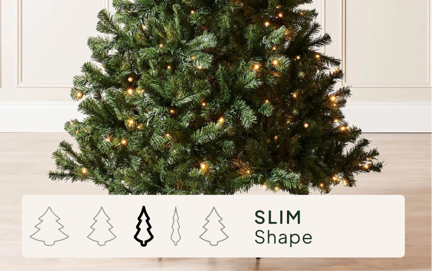 Size & Shape