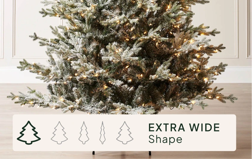 Size & Shape