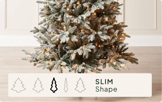 Size & Shape